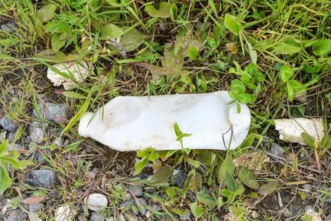 Abandoned plastic bottle in grass. Garbage in nature. Stock Photos