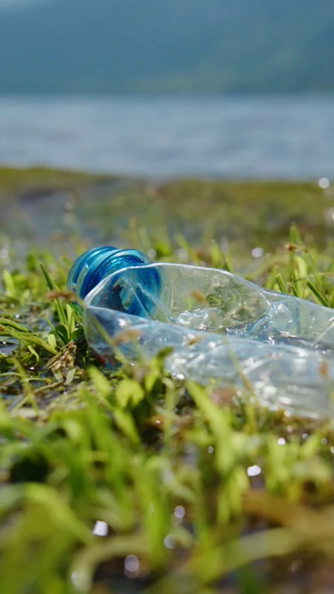 Abandoned plastic bottle rests on wet grass beside water Stock Footage 346341519