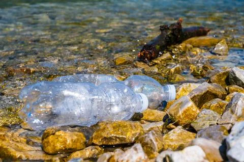 Abandoned plastic bottles. Stock Photos