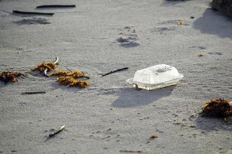 Abandoned plastic container on beach sand illustrating irresponsible waste .. Stock Photos