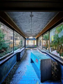 Abandoned Pool Stock Photos