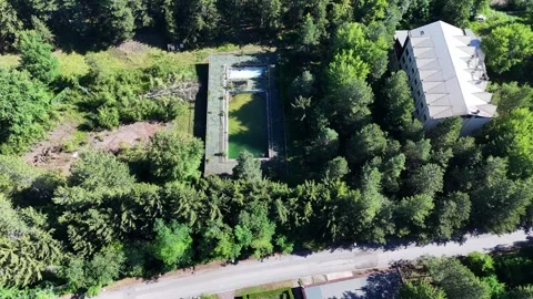 Abandoned Pool Surrounded by Lush Greenery in Remote Forested Area During Bright Stock Footage 281265066