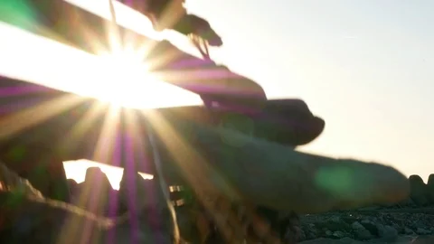 Abandoned Port. Sun rays at sunset filter through branches Christmas tree Stock Footage 101225592