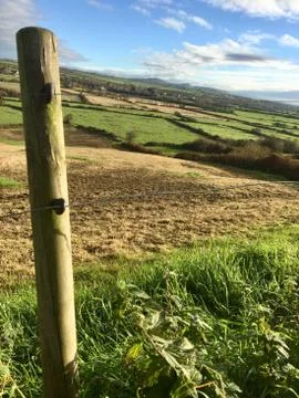 Abandoned post in the field Stock Photos