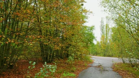 Abandoned Pripyat Autumn Walk Through the Ghost City of Chernobyl Exclusion Zone Stock Footage 316972795