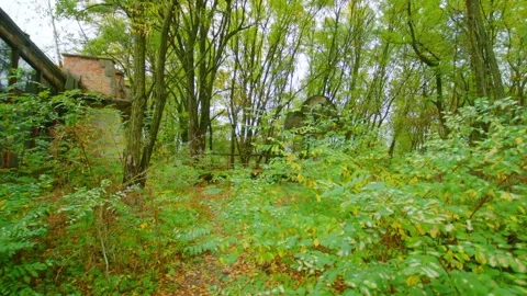Abandoned Pripyat Cafe and River Port, Chernobyl Exclusion Zone, Ukraine Stock Footage 316983054