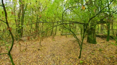 Abandoned Pripyat Cafe and River Port Chernobyl Exclusion Zone Footage Stock Footage 316983477