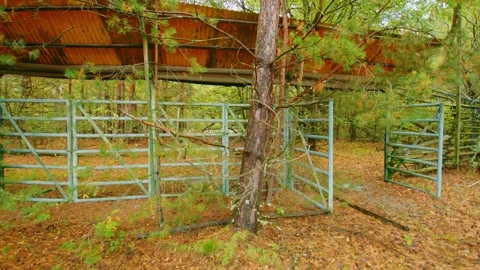 Abandoned Pripyat Dance Floor Eerie Relic of Chernobyl Exclusion Zone Video stock 316984611