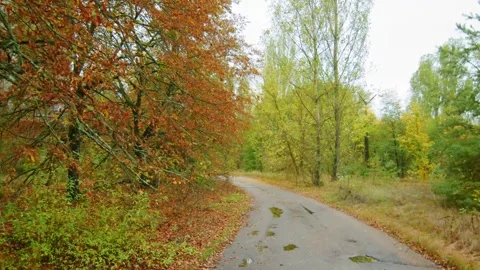 Abandoned Pripyat,  A Walk Through the Ghost City of Chernobyl, Ukraine Stock Footage 316972981