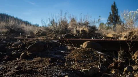 Abandoned Rail in the forest. 写真素材