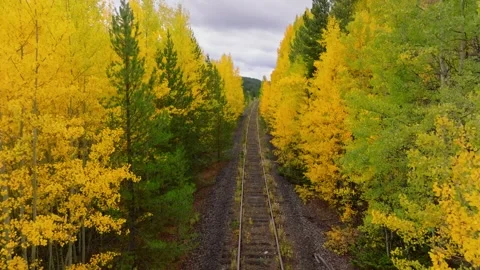 Abandoned Railroad Flyover Fall Forest | Camp Hale Drone Autumn Vídeos de archivo 331546904