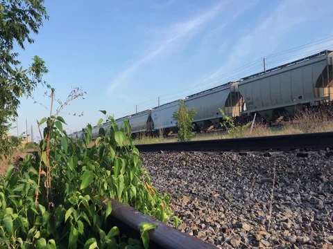 Abandoned Railroad Low Angle Stockbeeldmateriaal 78773999