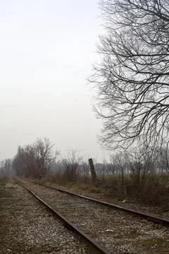 Abandoned railroad track bordered by trees and plant in the italian country.. Stock Photos