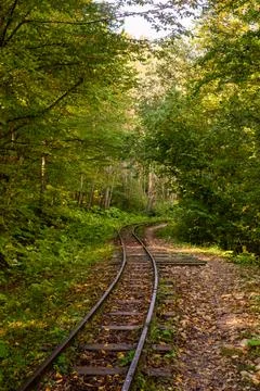 Abandoned railway in autumn mountain forest with foliar trees in Caucasus, Me Stock Photos