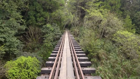 Abandoned Railway Line Deep in the Forests of Alishan Mountains, Taiwan Stock Footage 283856396