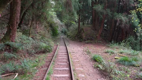 Abandoned Railway Line Deep in the Forests of Alishan Mountains, Taiwan Stock Footage 284034736