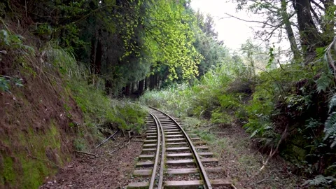 Abandoned Railway Line Deep in the Forests of Alishan Mountains, Taiwan Stock Footage 287627239