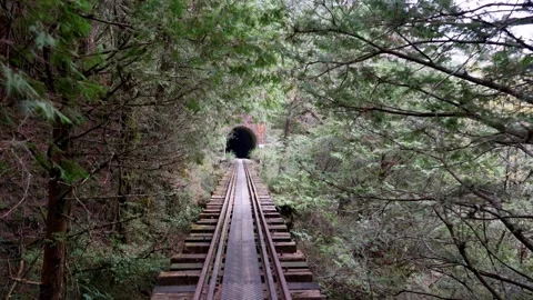 Abandoned Railway Line Deep in the Forests of Alishan Mountains, Taiwan Stock Footage 293742181