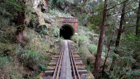 Abandoned Railway Line Deep in the Forests of Alishan Mountains, Taiwan Stock Footage 294104476