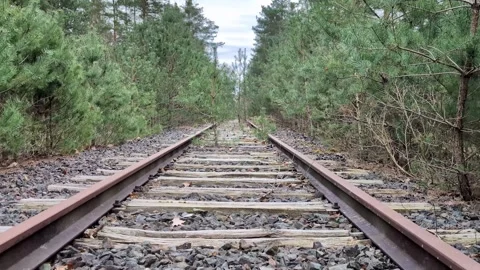 Abandoned railway tracks is overrun by thick foliage. Perspective view. Stock Footage 305568720