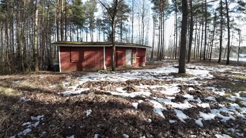 Abandoned-red-cabin-in-pine-forest-slow-pan-003 Stock Footage 330762941