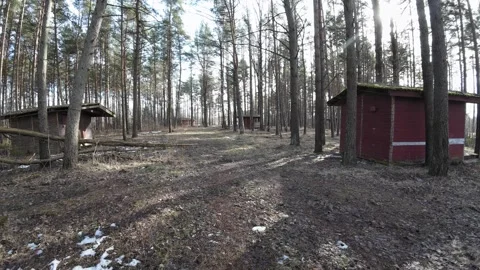 Abandoned-red-cabins-in-pine-forest-slow-pan-006 Stock Footage 330762782