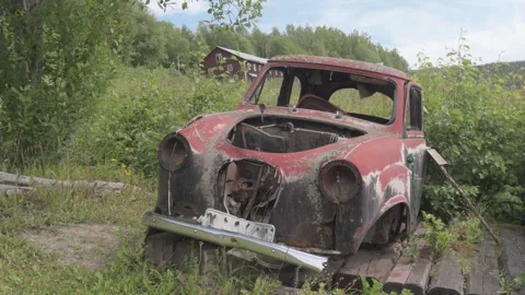 Abandoned red car rusting in overgrown field Stock Footage 296489642