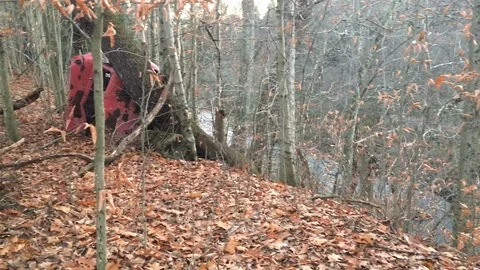 An abandoned red vintage car in the woods with the river flowing by below Stock Footage