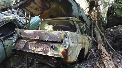 Abandoned retro car in Forest Stock Footage 129019202
