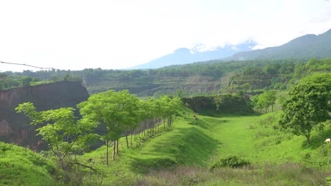 Abandoned rice fields on the terraces of the mountains Stock Footage 311567993