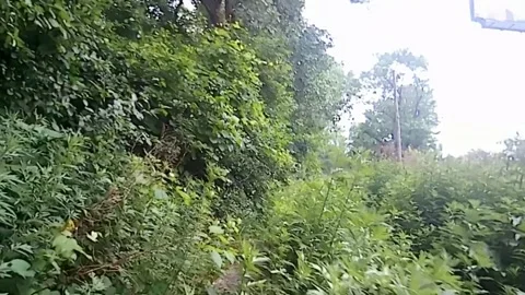 Abandoned, Riding On The Road From Nowhere, 2x Timelapse, Harvey IL Vídeo Stock 246530879