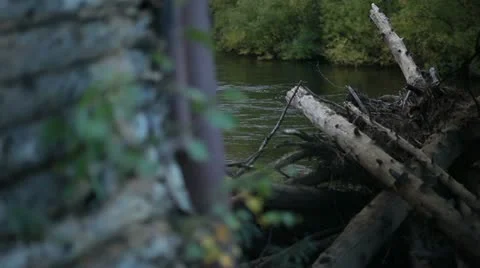 Abandoned river Video stock 22329729