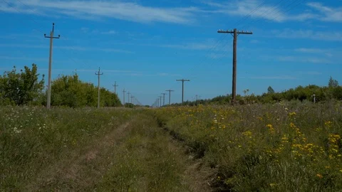 Abandoned road in the desert Stock Footage 114411959