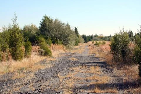 Abandoned road Stock Photos