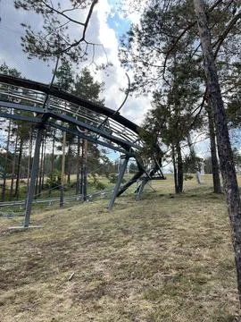 Abandoned Roller Coaster Track in Pine Forest, Amusement Park Stock Photos