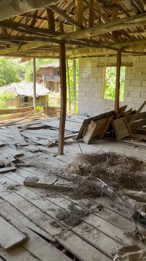 Abandoned ruin Stock Footage 276544520