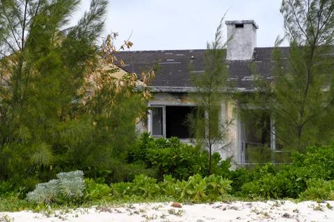 Abandoned run down house in trees Stock Photos