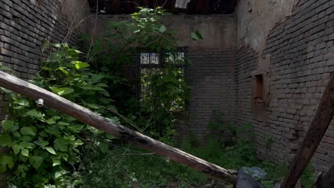 Abandoned Rural Old House Collapsed Interior Static16-1 Stock Footage 335758813