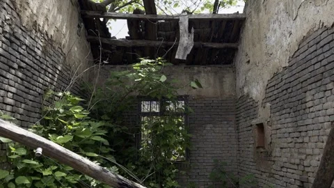 Abandoned Rural Old House Interior Tilt Up17-9 Stock Footage 335759607