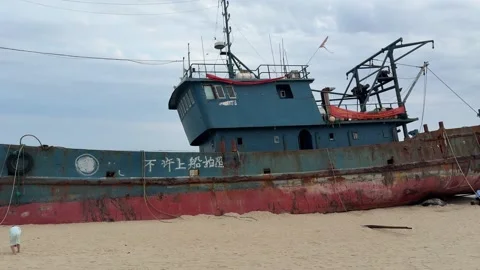 Abandoned Rusted Ship Stranded on Sandy Beach with Tourists Stock Footage 330863023
