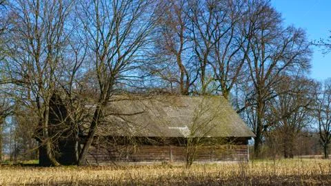 An abandoned rustic house on a branches trees background. Countryside concept Foto stock
