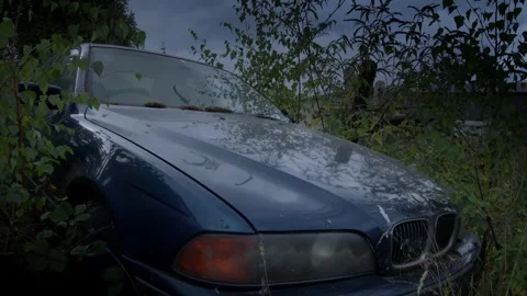 Abandoned Rusting 1990s German Car Consumed by Undergrowth in Woodland Stock Footage 251479727