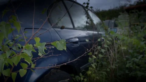 Abandoned Rusting 1990s German Car Consumed by Undergrowth in Woodland Stock Footage 251479825