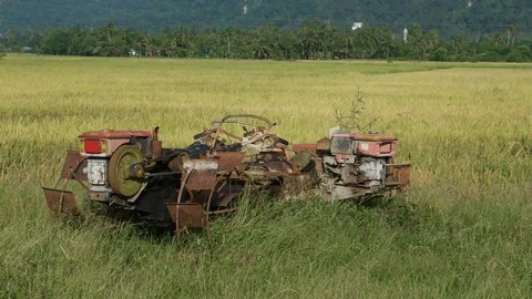 Abandoned rusty rice paddy tractor machine Vídeos de archivo 89091663