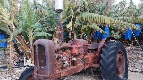 Abandoned rusty tractor on plantation Stock Footage 73578242
