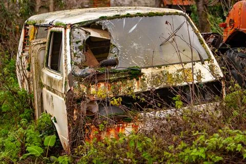 Abandoned Rusty Van Covered with Moss in Overgrown Yard Stock Photos