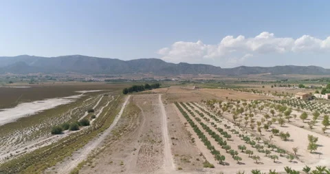 Abandoned salt pan with border crops from the air Stock Footage 210435528