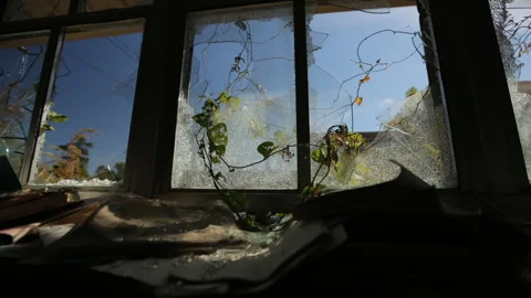 Abandoned School Window Timelapse 스톡 동영상 310561787