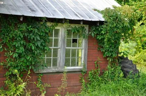 Abandoned shack in the country Stock Photos