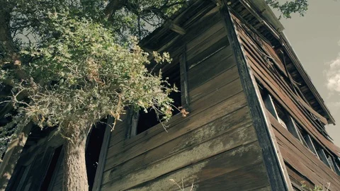 Abandoned shack Video stock 102280145